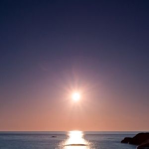 Meet your Posher, Bridger